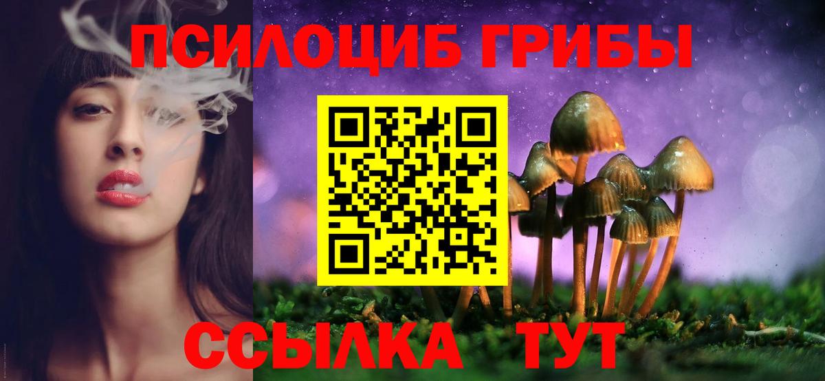 Псилоцибиновые грибы MAGIC MUSHROOMS  Вход с VPN  Псилоцибиновые грибы мицелий  Рубцовск 